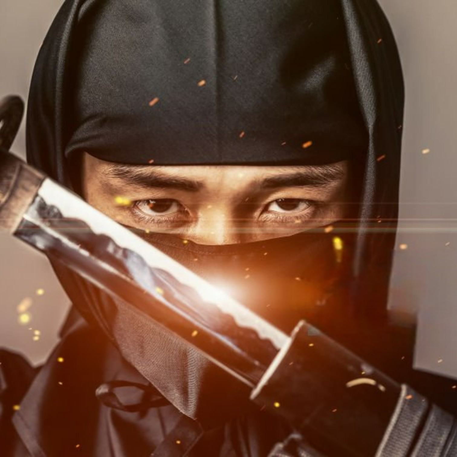 忍者 NINJA — Meister des Unsichtbaren, Verkörperung der stillen Kraft von Mai