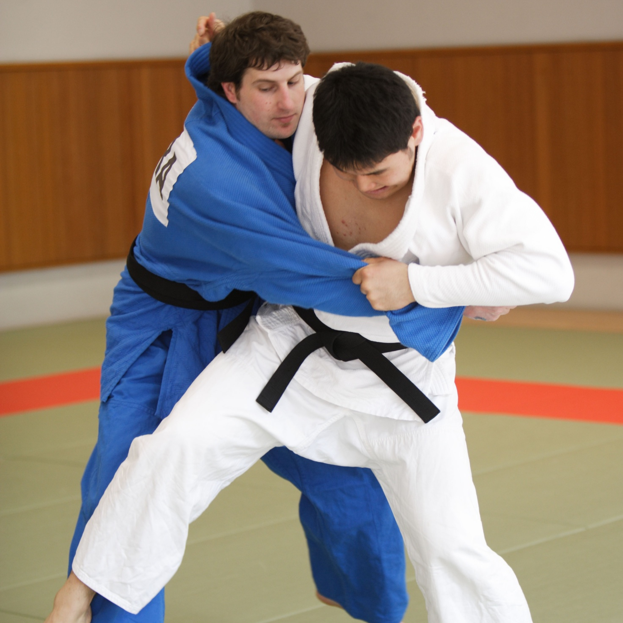 Geist, Technik und Körperkraft — 心技体 (Shin-Gi-Tai)