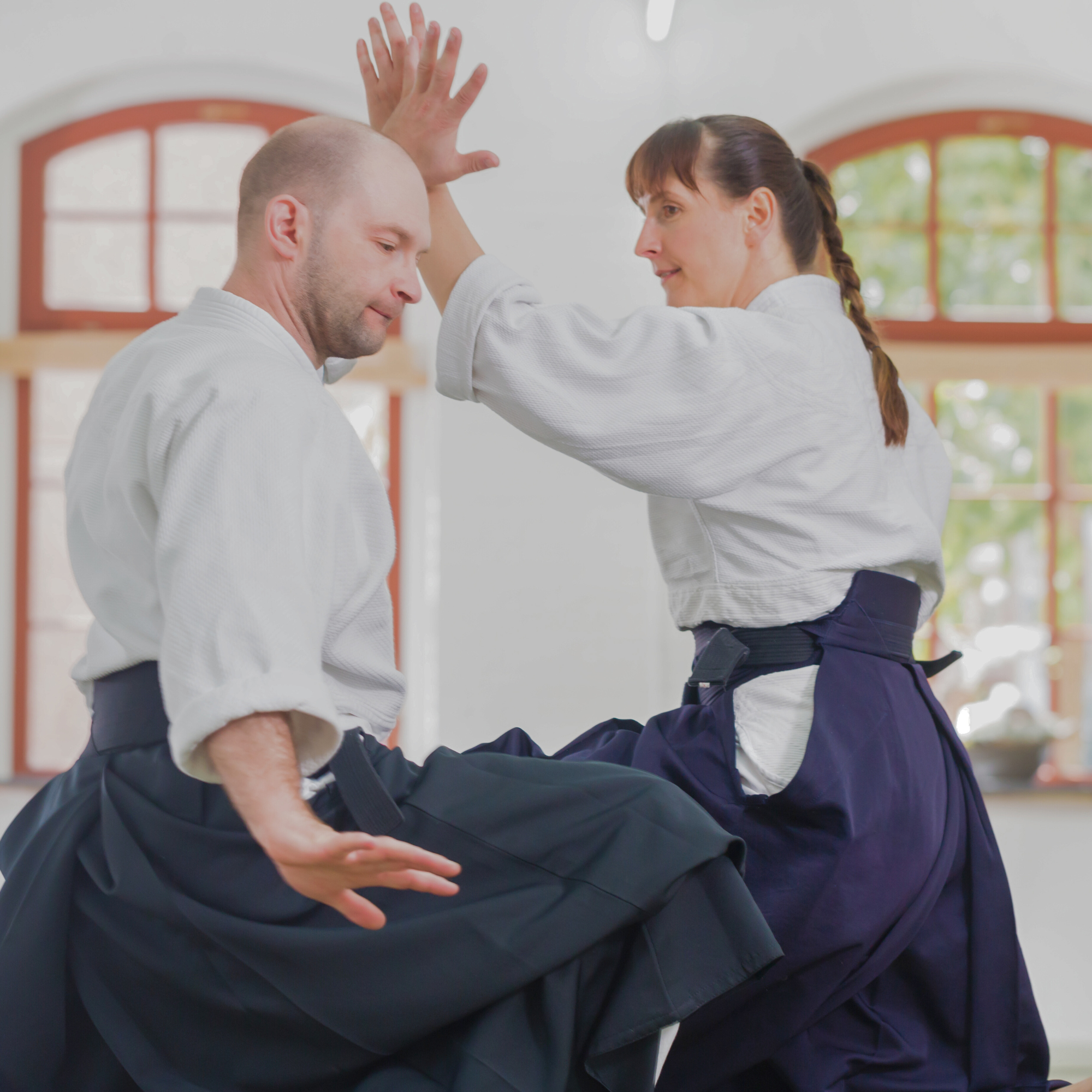 Geist, Technik und Körperkraft — 心技体 (Shin-Gi-Tai) 